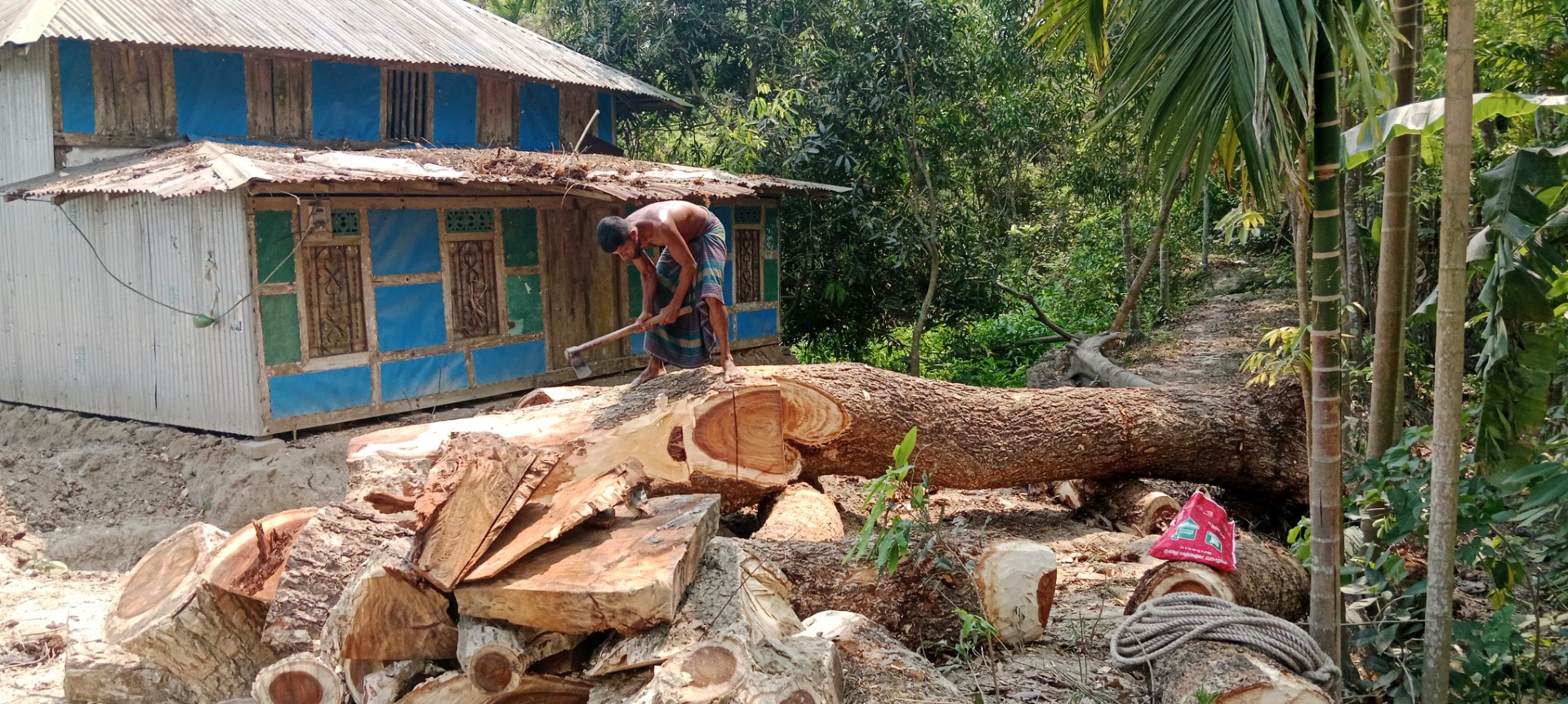 a6b40813-c436-4799-9086-bcedce524242