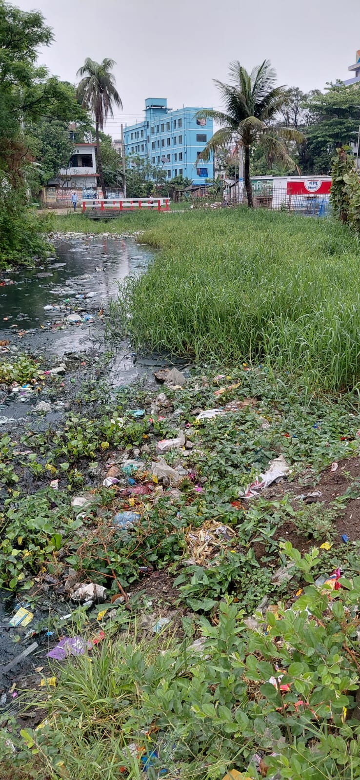 aa835215-4b39-4997-a223-8fd5af288241