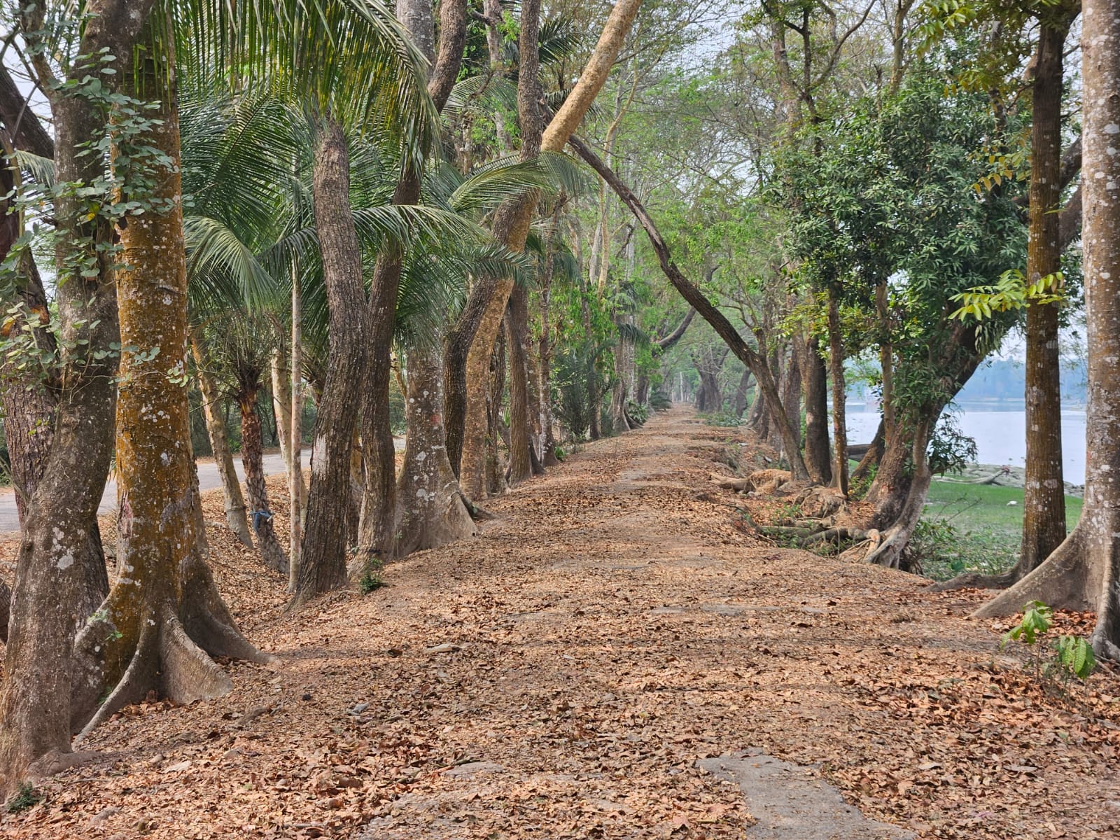 ad9a8f28-617f-4f73-949e-8ffbf502eaf2 ad9a8f28-617f-4f73-949e-8ffbf502eaf2