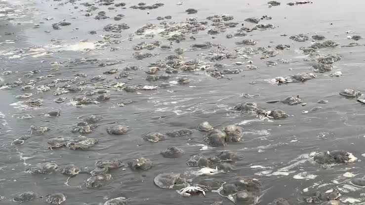 b5dfef12-a921-41ae-8882-46f0c471e8d9