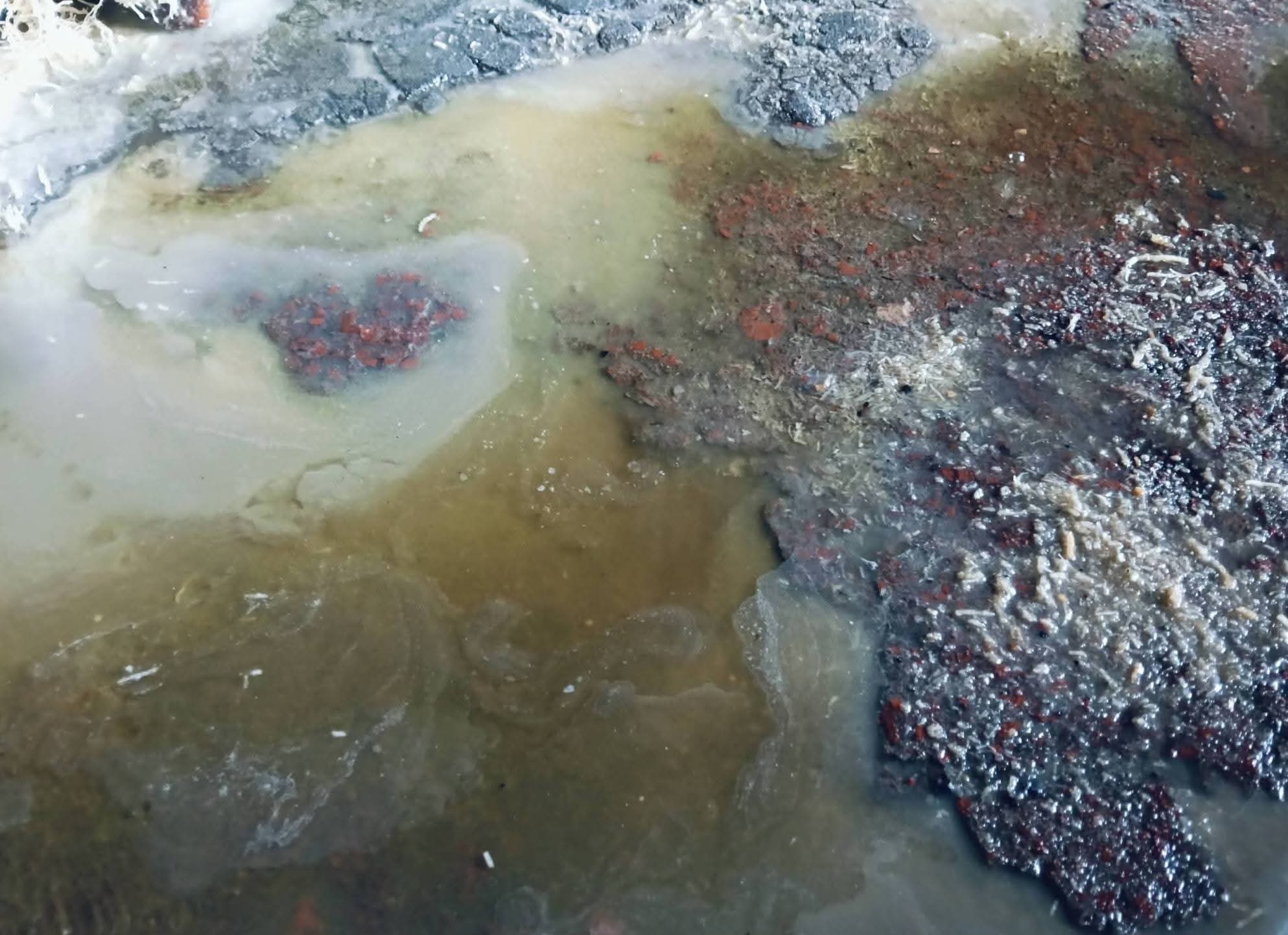 be9c1fcd-82f5-44c8-8f81-e914e56141f0