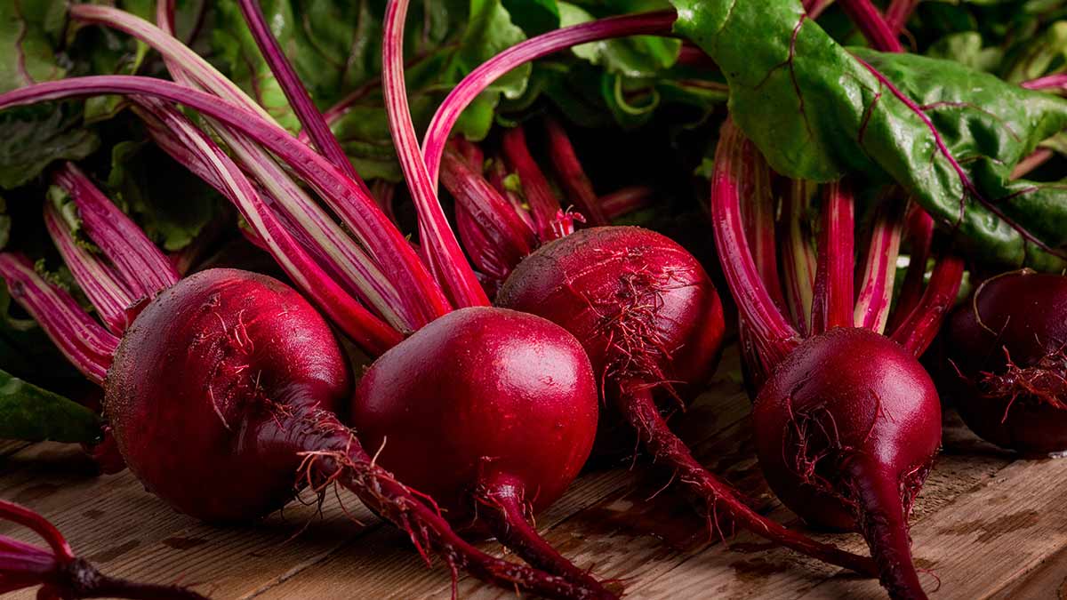 beet beet