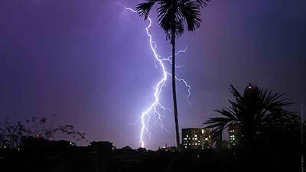 নওগাঁয় মাঠে গম কাটতে গিয়ে বজ্রপাতে কৃষকের মৃত্যু