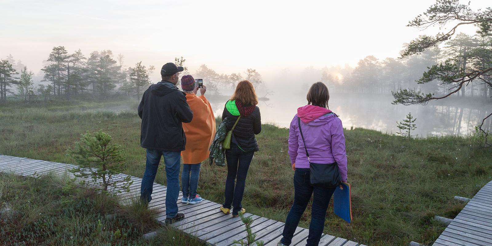 bog-sunrise-admirers-visit-estonia.jpg