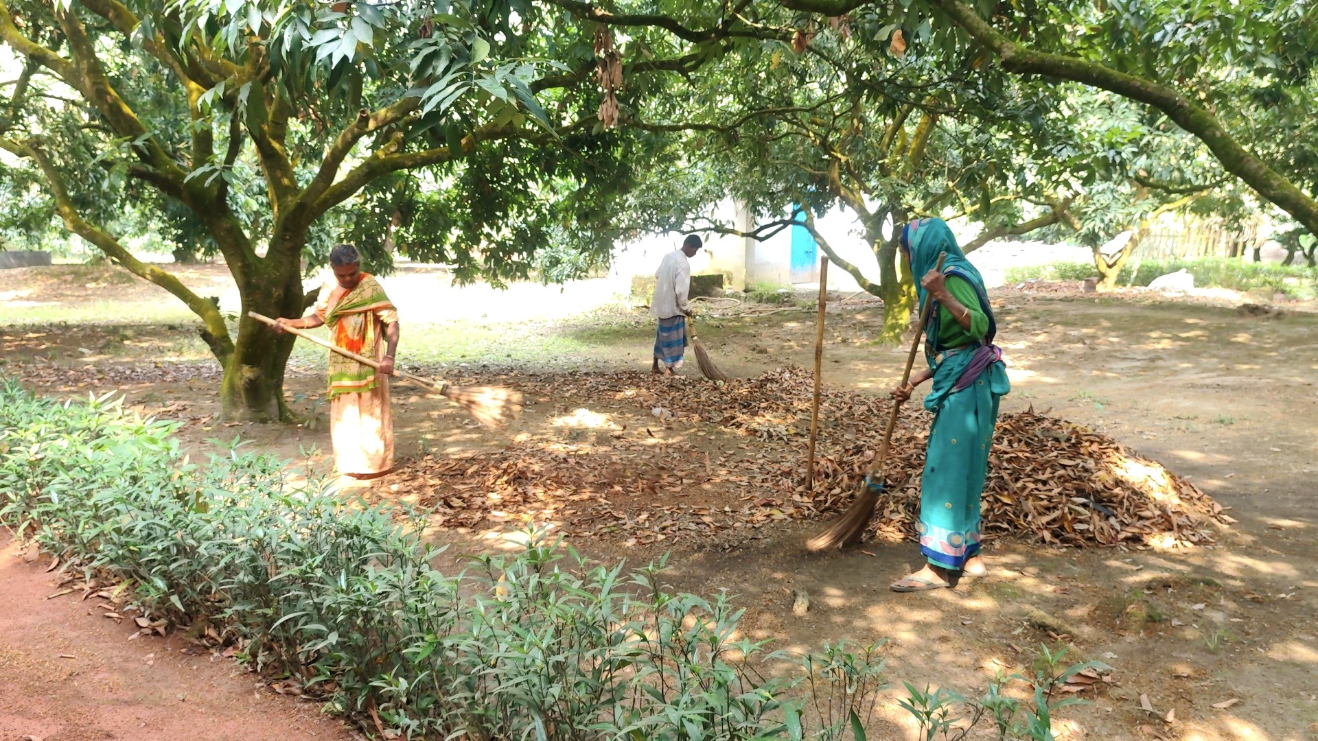 c047cd2e-3798-4781-ba23-4d27f0ab8864