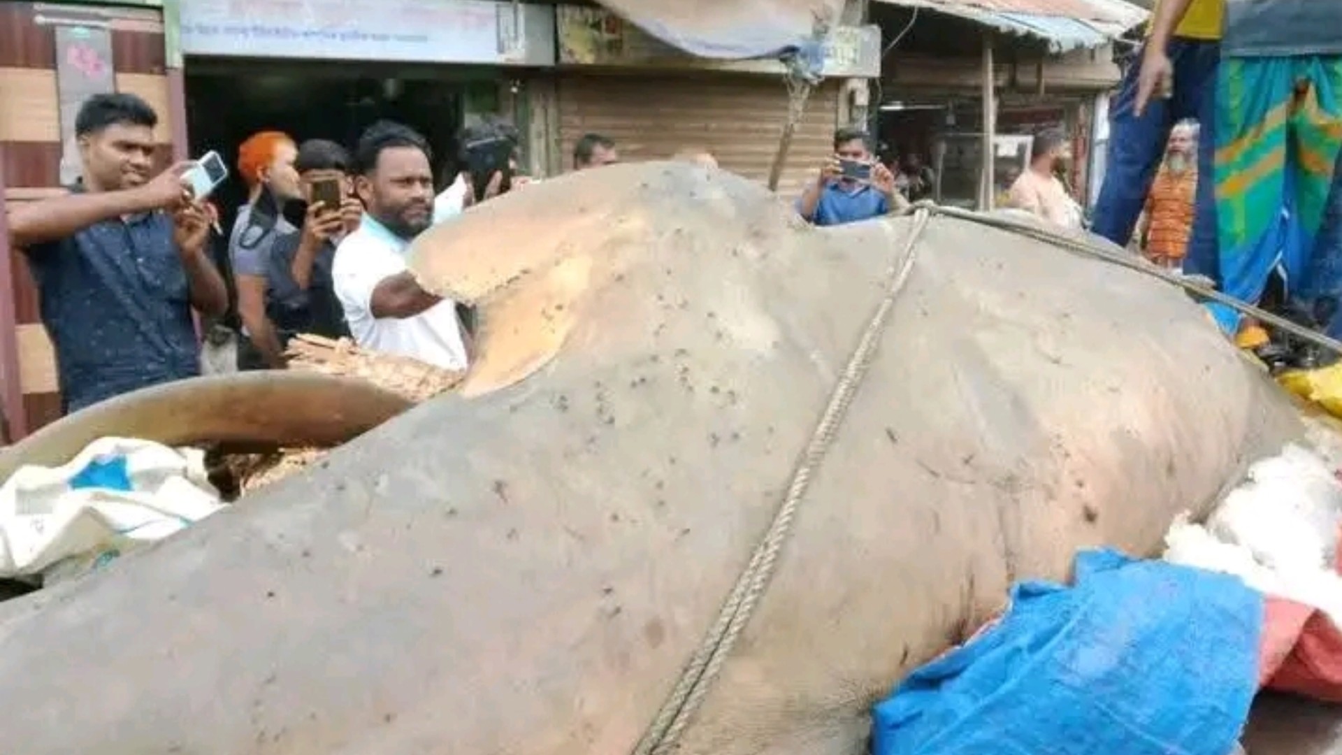 c0d869ee-645a-4ed6-a584-a6cbf00140f8