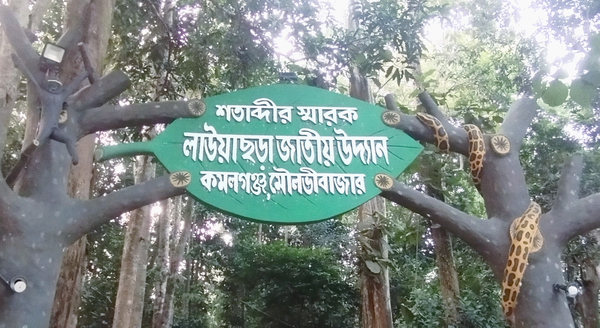 c0f71d22-5270-40dd-8889-8ee7fe0e414a