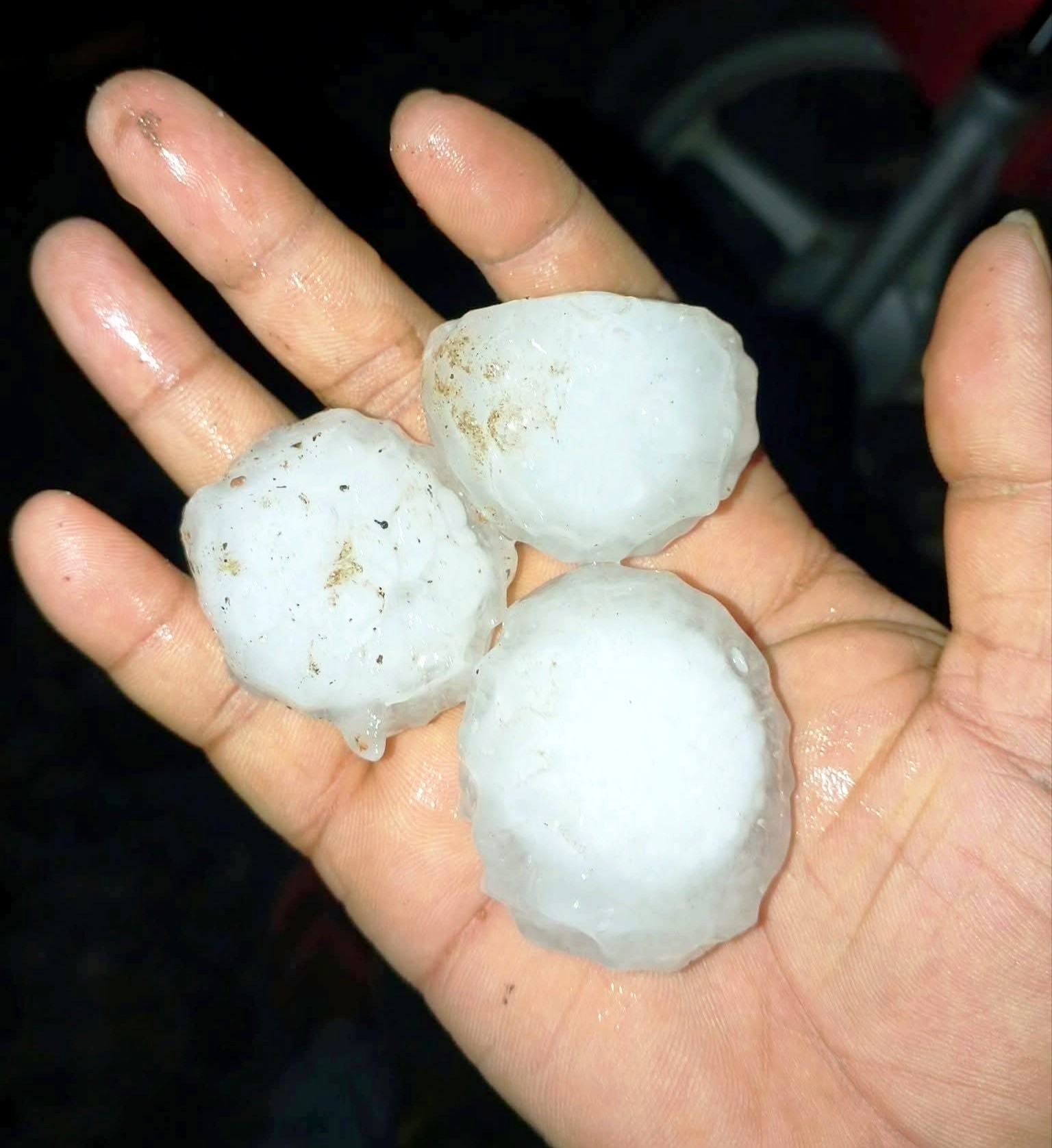 c55e81ea-fcb5-4a66-a779-182ab662ebf3 c55e81ea-fcb5-4a66-a779-182ab662ebf3