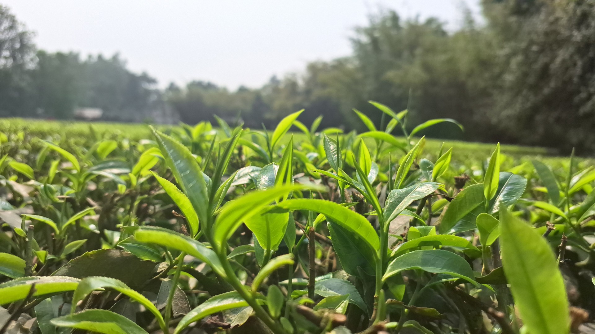 c635d808-093a-4ca5-aef3-e07bcf4fdd81