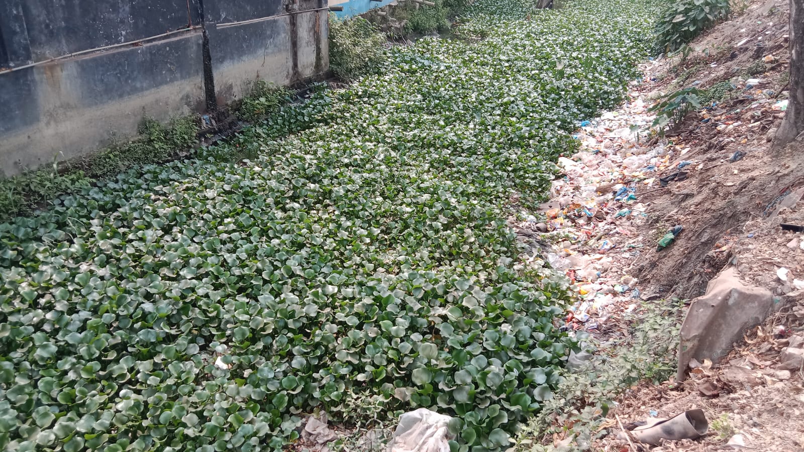 c710889a-7d29-4585-9ef5-e12752b95748 c710889a-7d29-4585-9ef5-e12752b95748