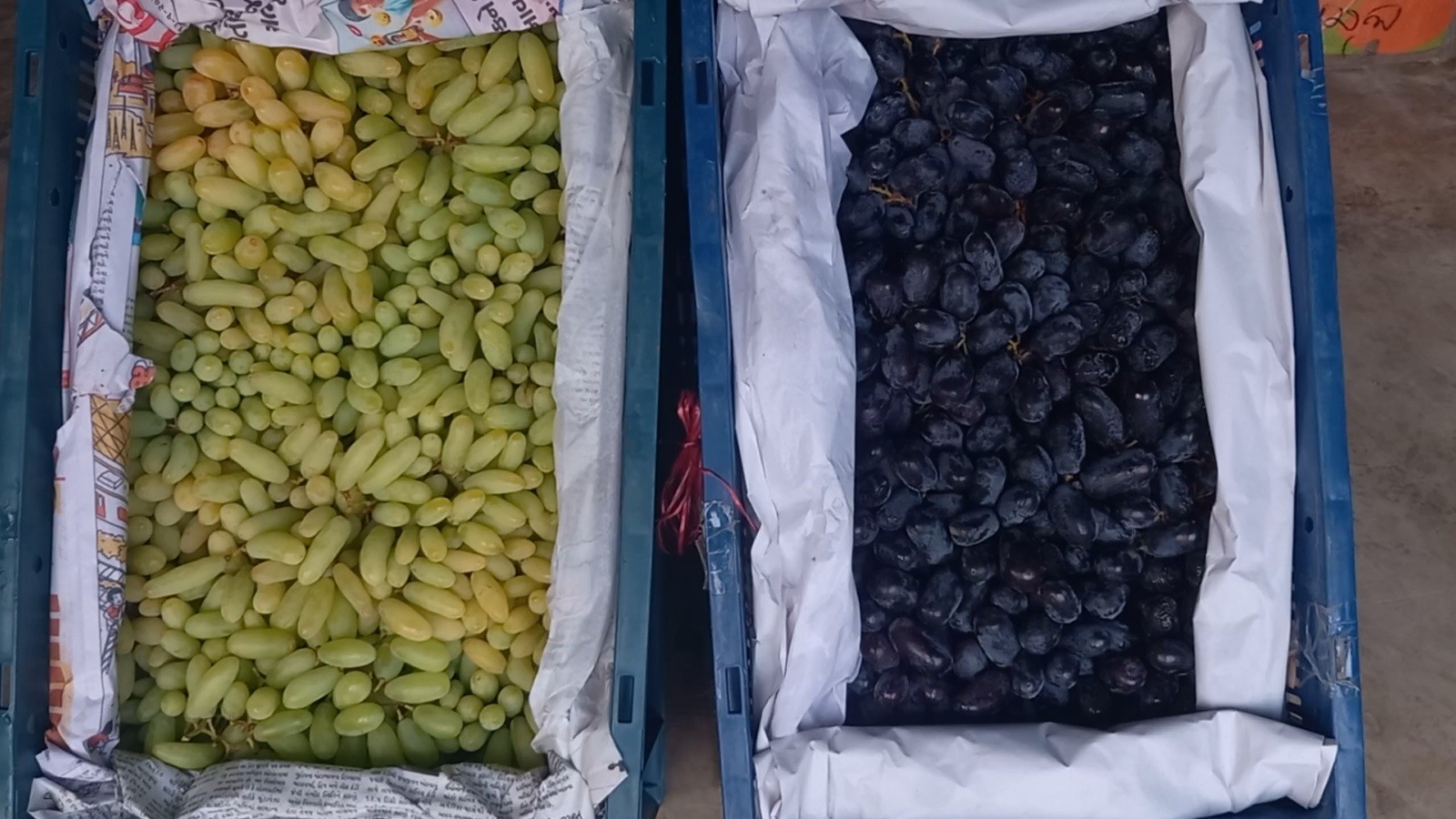 cf04e85c-7e0a-4300-8095-22276bb9c296