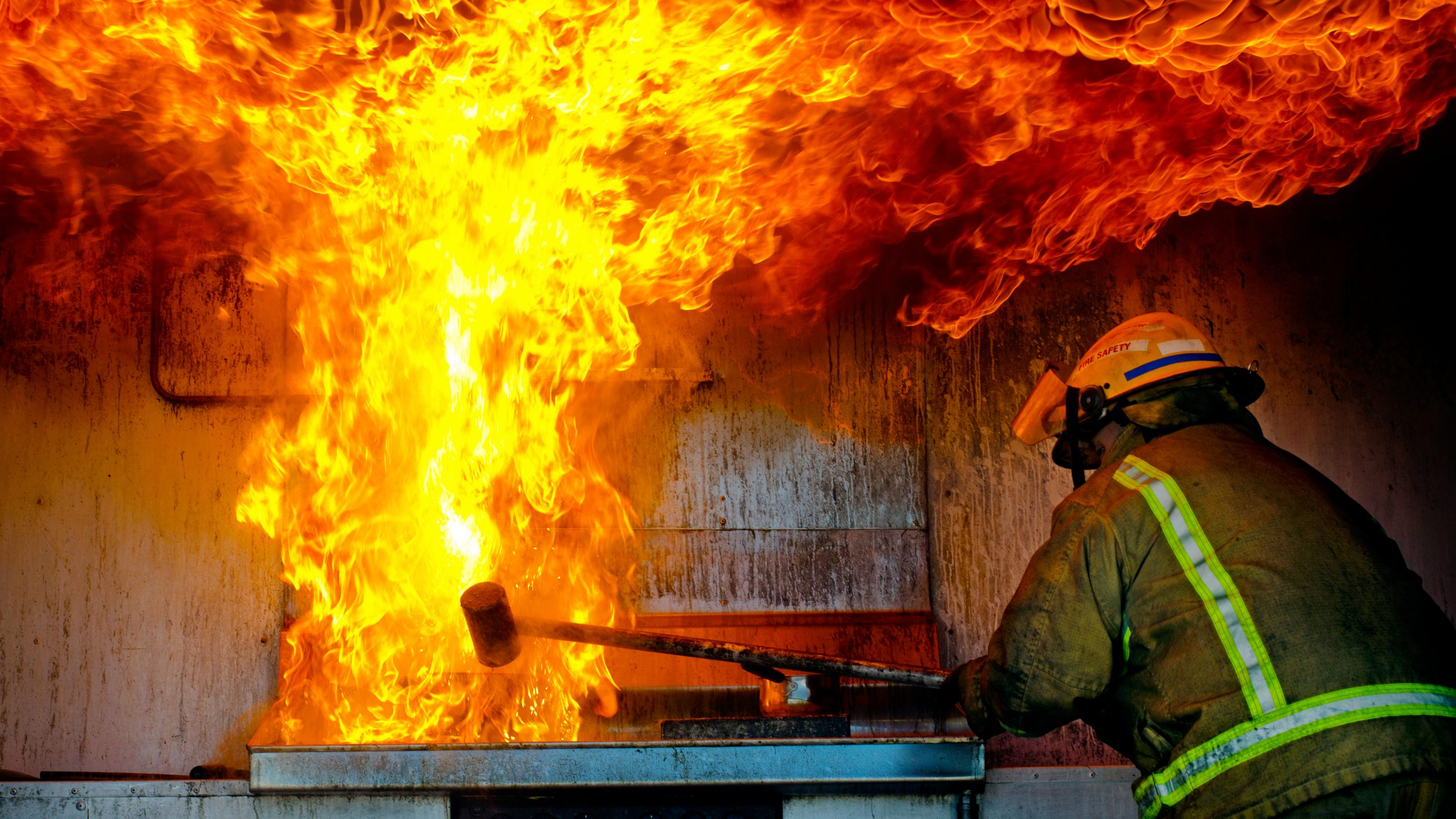 এই ছোট ভুলেই পুড়ে যেতে পারে ইন্ডাকশন কুকার; জানুন ব্যবহারের সঠিক নিয়ম