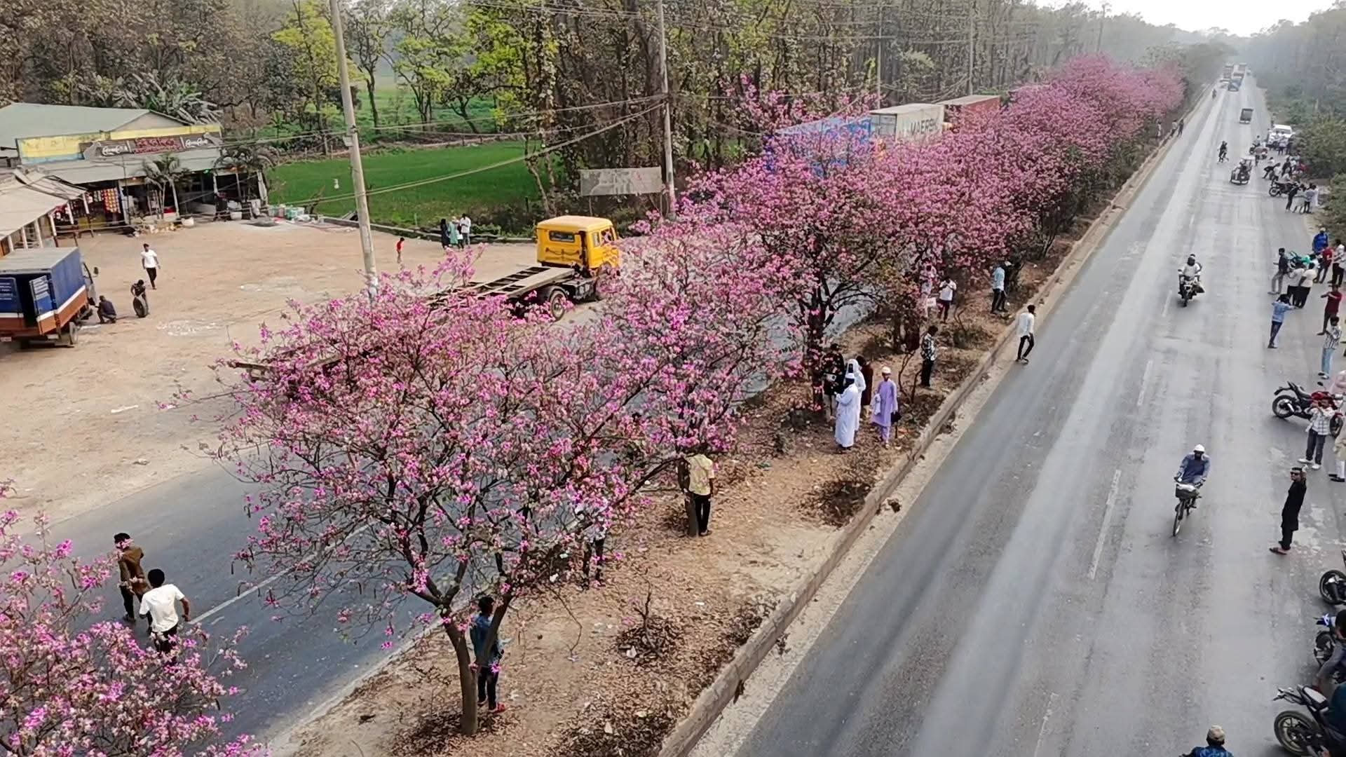 d02acaa3-ee4c-42a5-9c2a-2c8151b2ff7f