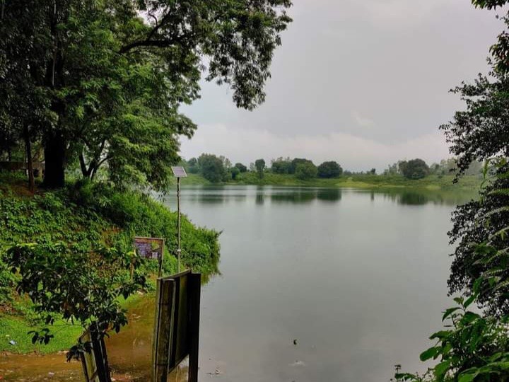 d0d7c083-efee-41cd-9746-3ba4afa1fd90