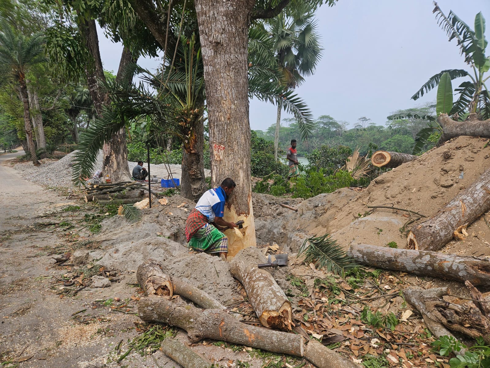 d1d82306-8be6-4330-bda9-ae13528e7201 d1d82306-8be6-4330-bda9-ae13528e7201