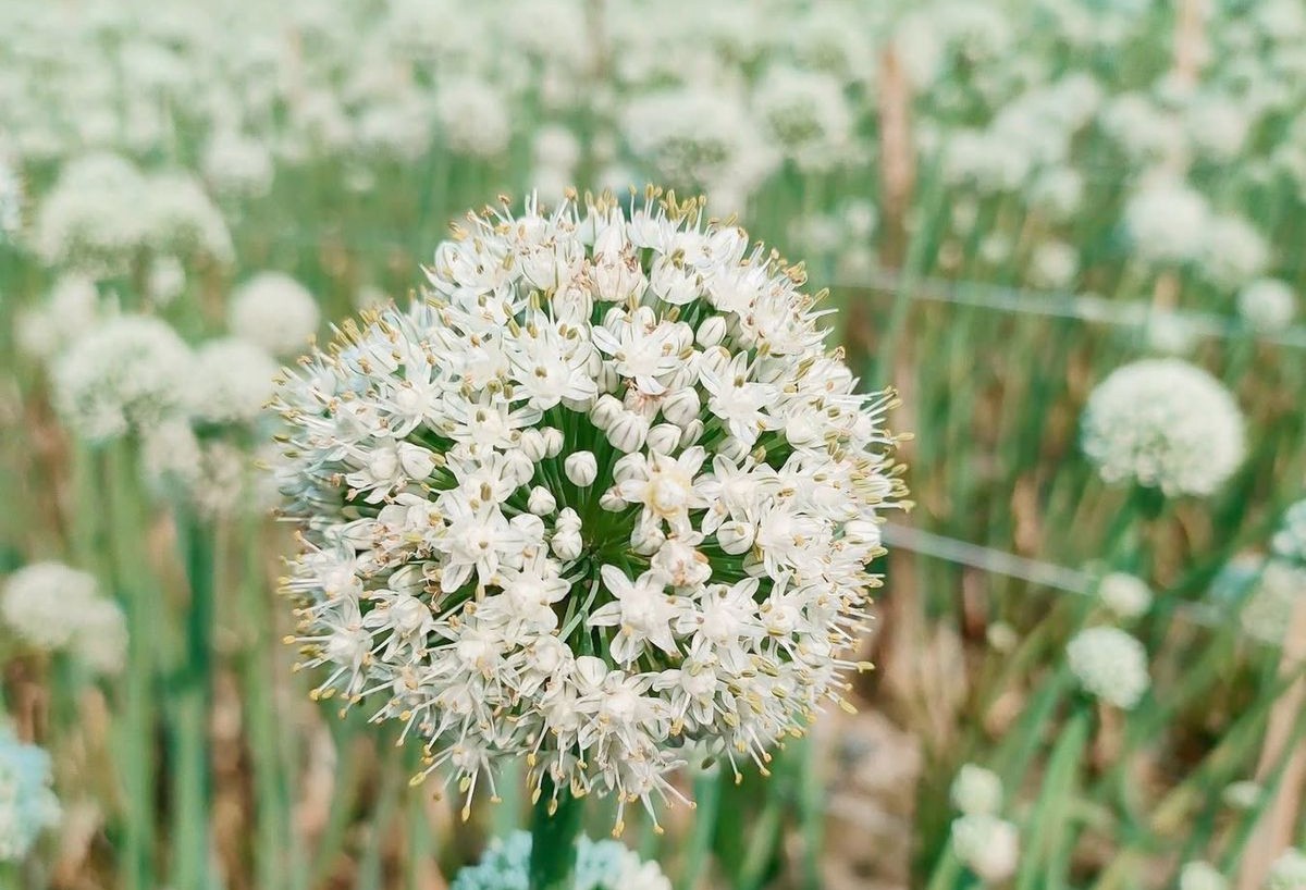 d219a45a-8d85-4e6d-9e7f-dbde2298143d