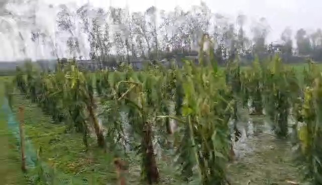 d6c4c452-1823-4d82-8e1b-5bddebae346c