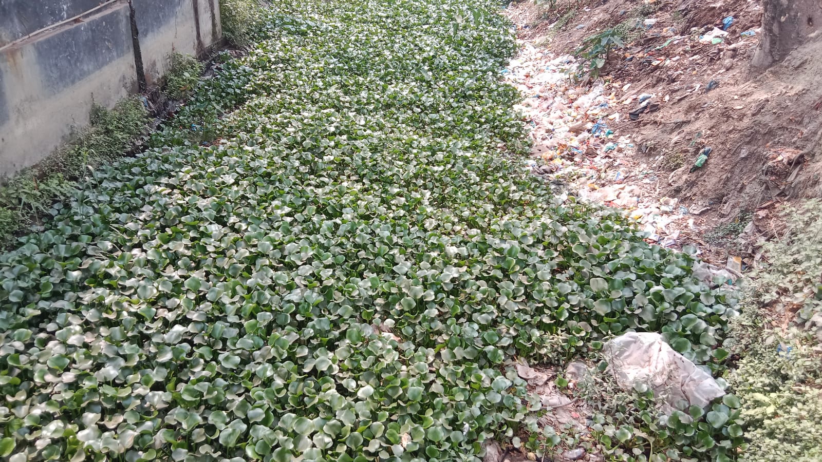 d921780a-58eb-4bb3-baac-6309ed1d91f7 d921780a-58eb-4bb3-baac-6309ed1d91f7