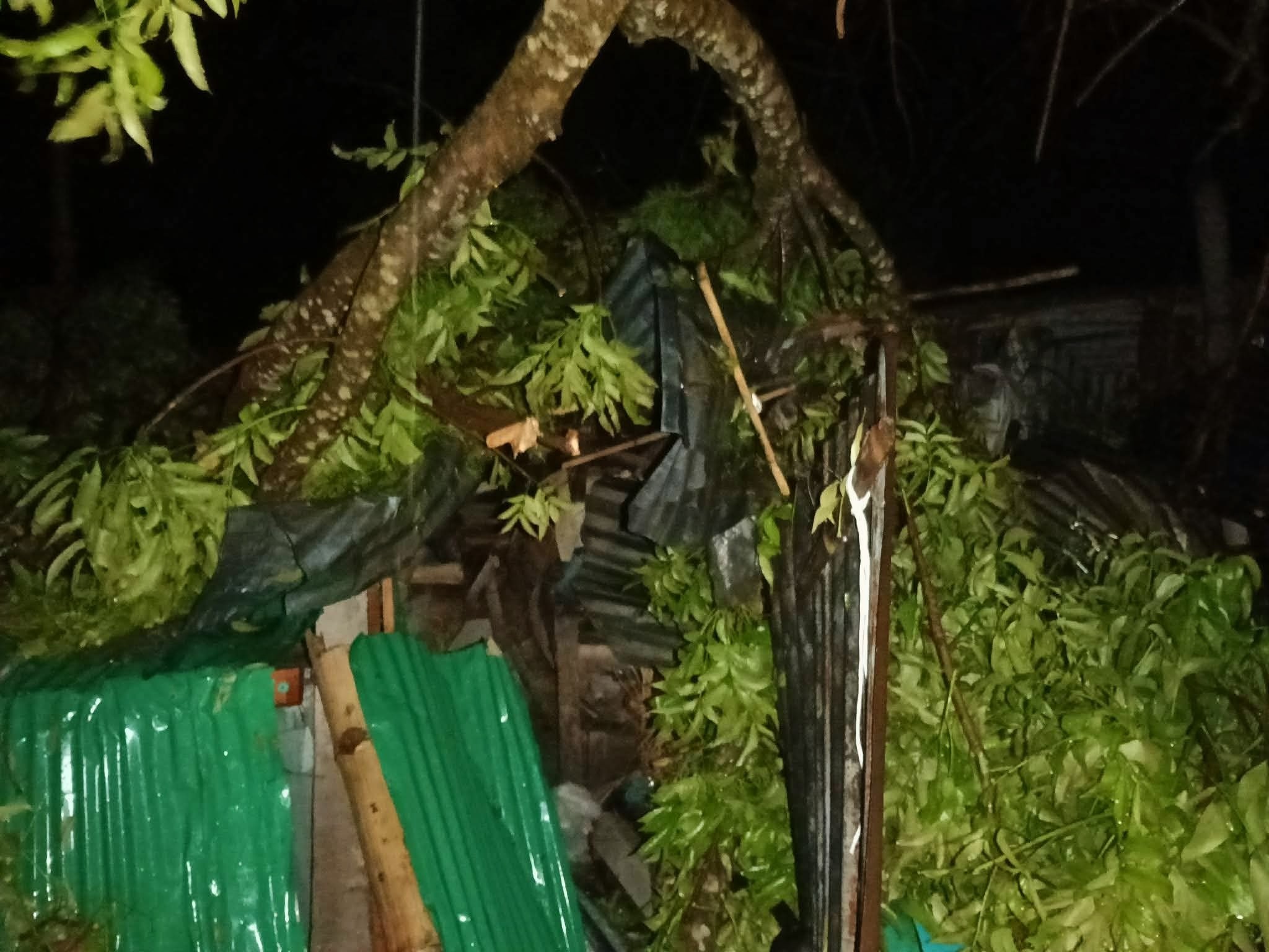 da82b6df-03c4-4107-b96b-eb0ad2d47c2c