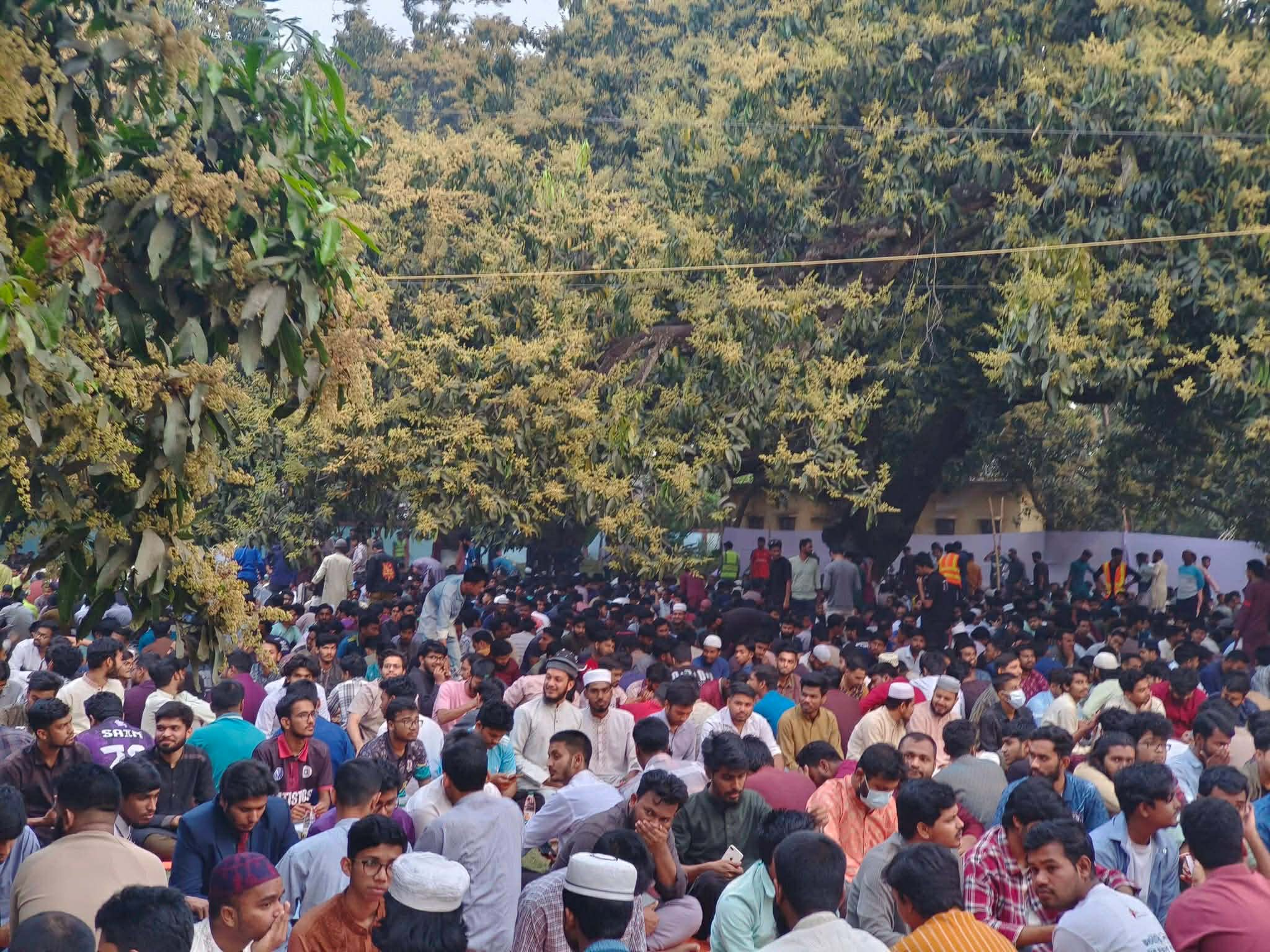 dd6b4a50-0520-489a-9f53-63494b03e8db dd6b4a50-0520-489a-9f53-63494b03e8db