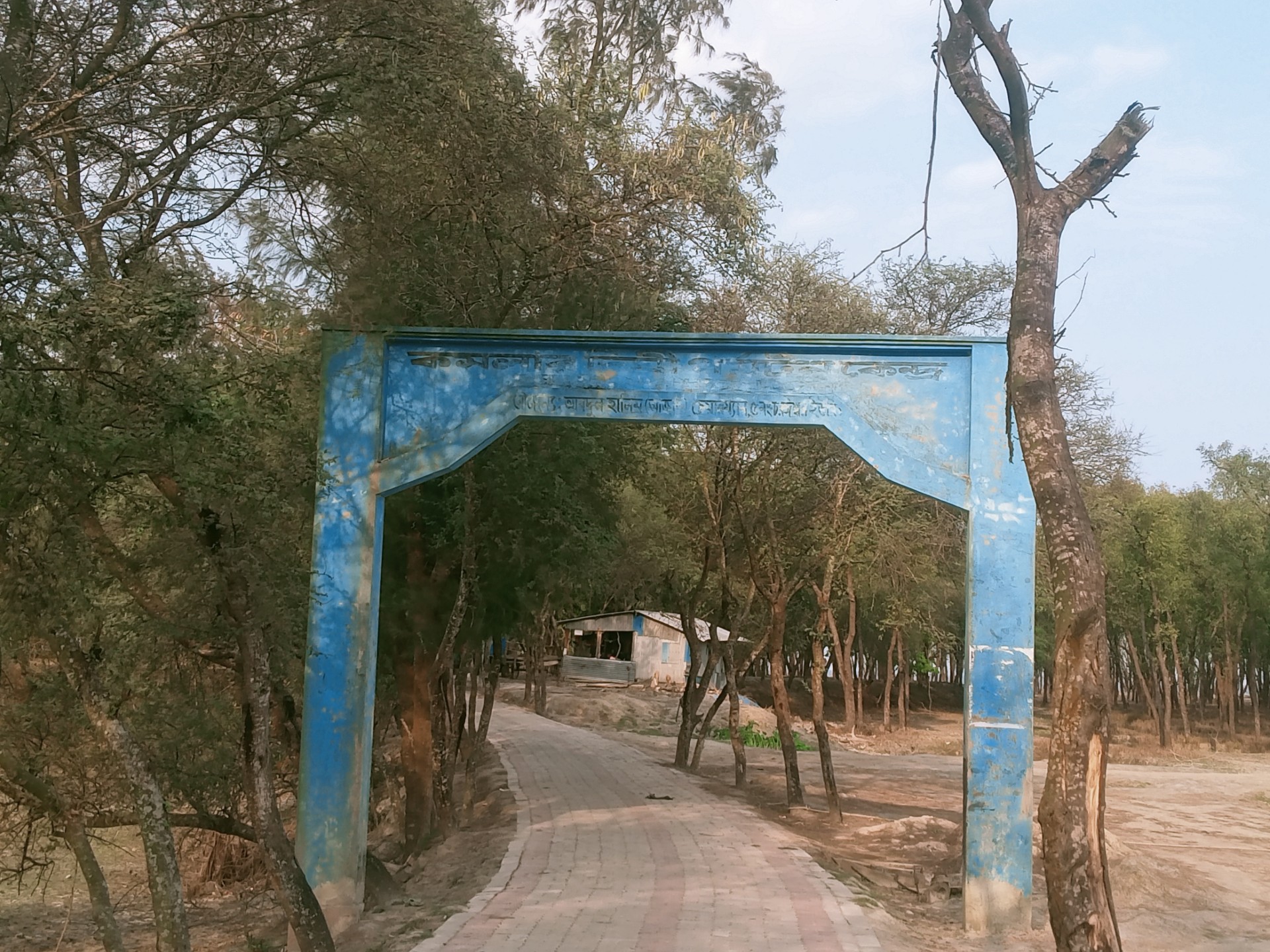 dd92d3a6-c434-420e-9878-89e18a0c0533