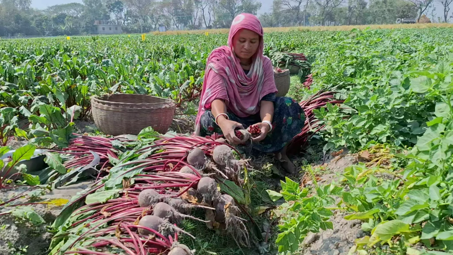 e1ec8f52-52ef-468d-b7c5-0265e0957c7d