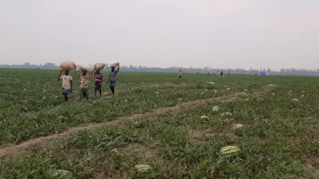 e364bf49-f5a9-4d34-829a-6ab37fc6d5a1