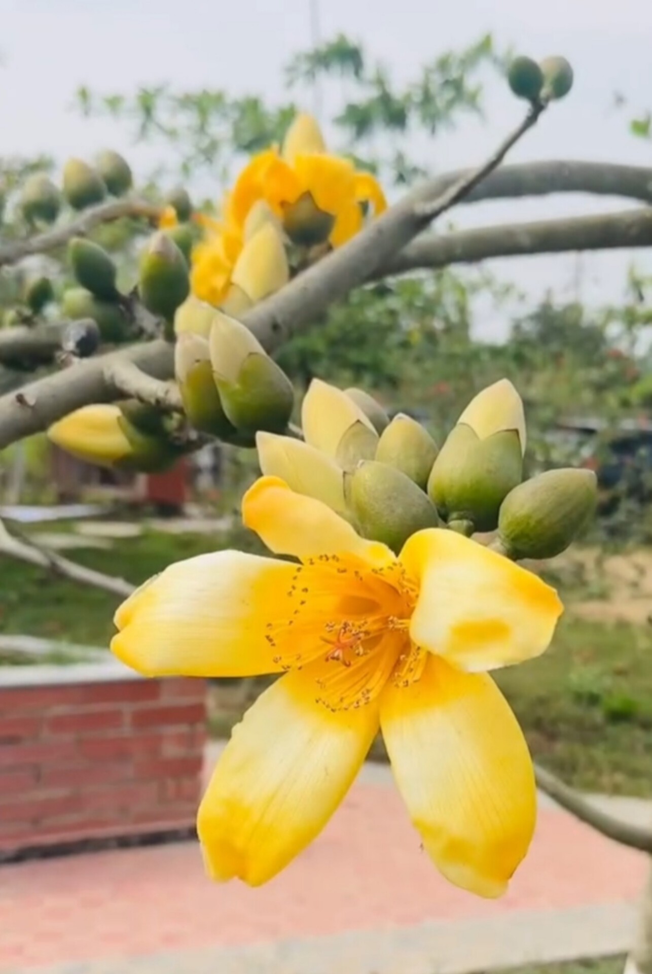 ec1e3fca-01f3-4a8c-95c7-645ca3fef304 ec1e3fca-01f3-4a8c-95c7-645ca3fef304