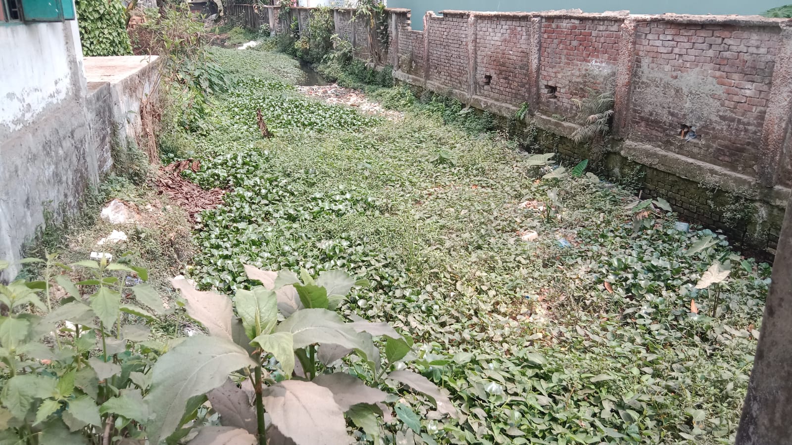 f4beebec-e1ff-412f-9022-472e0f9aabd9 f4beebec-e1ff-412f-9022-472e0f9aabd9