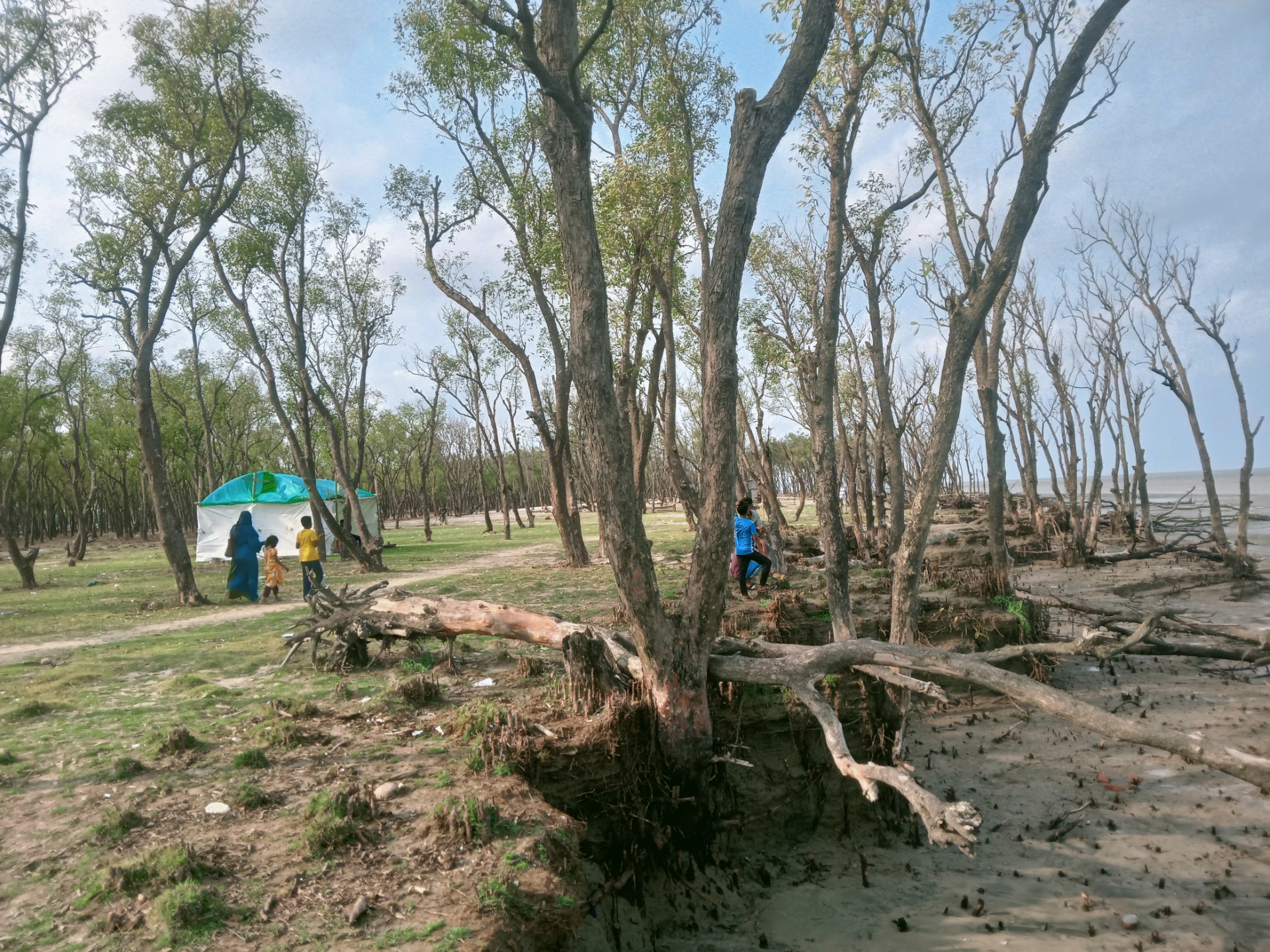 f54e160f-90e3-4947-beb8-ae3c414e9311