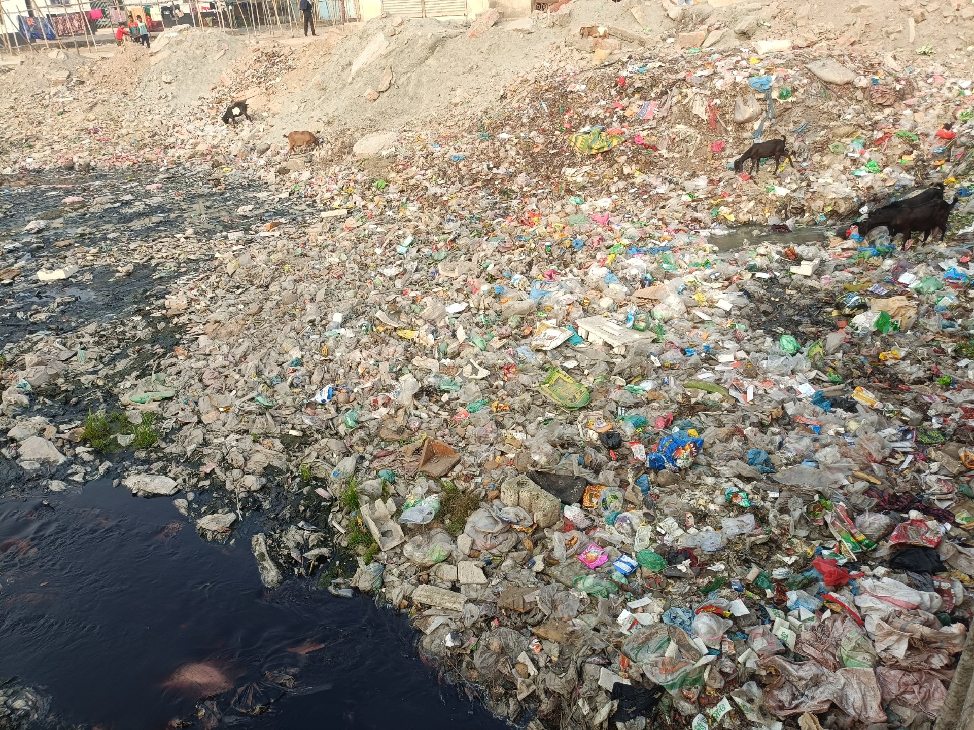 f75dd1cd-52c4-42a8-859e-35a37d2daa6f