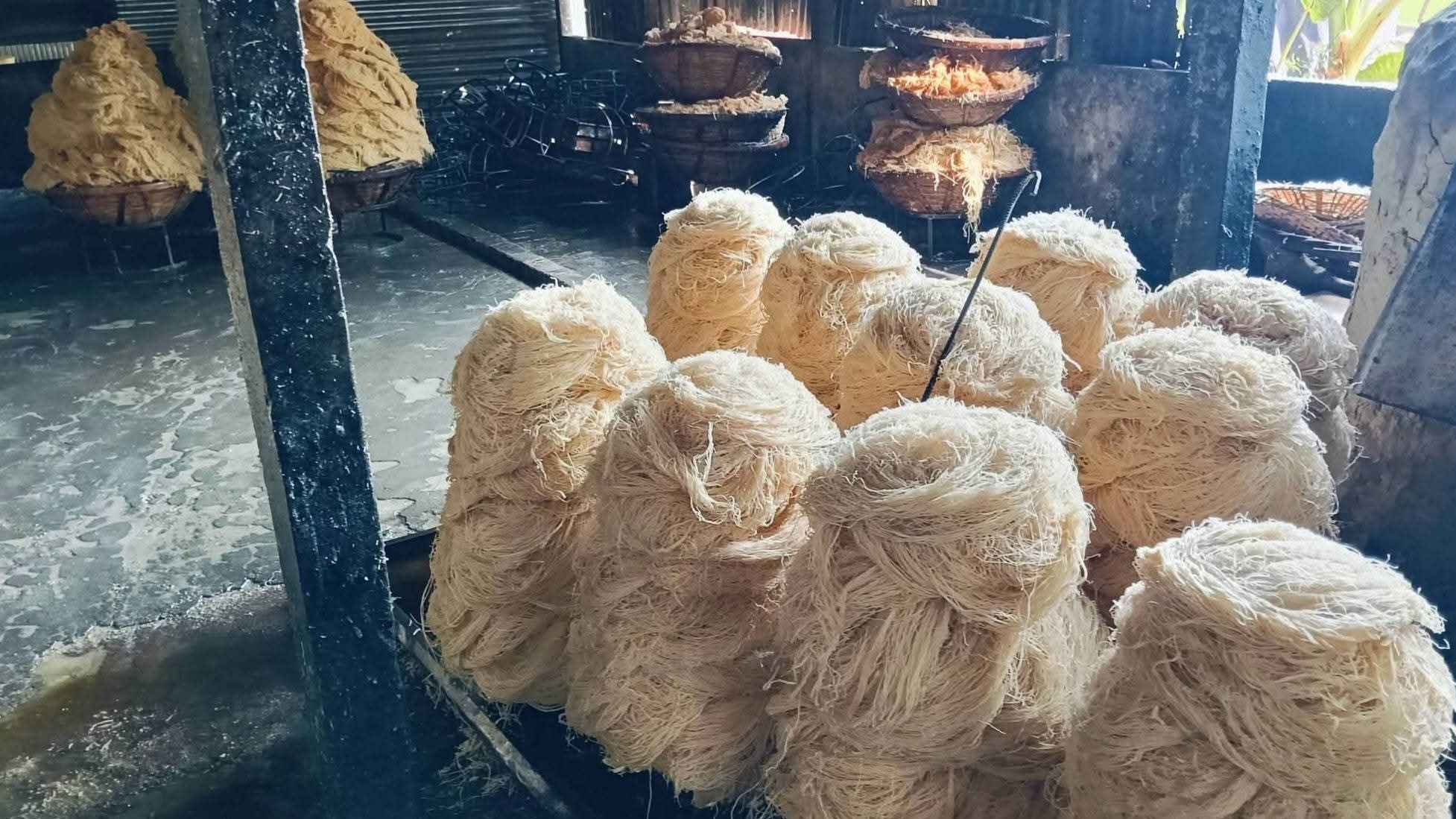 নোয়াখালীতে অস্বাস্থ্যকর পরিবেশে সেমাই তৈরি, ২ লাখ টাকা জরিমানা