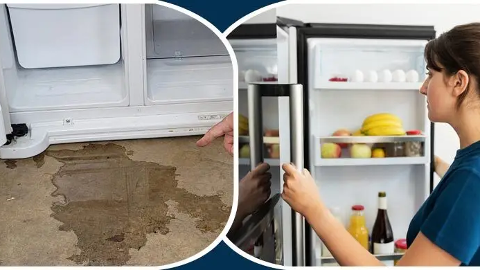 ফ্রিজের নিচে জমছে পানি? মেকানিক ডাকার আগে নিজেই সারিয়ে ফেলুন এভাবে