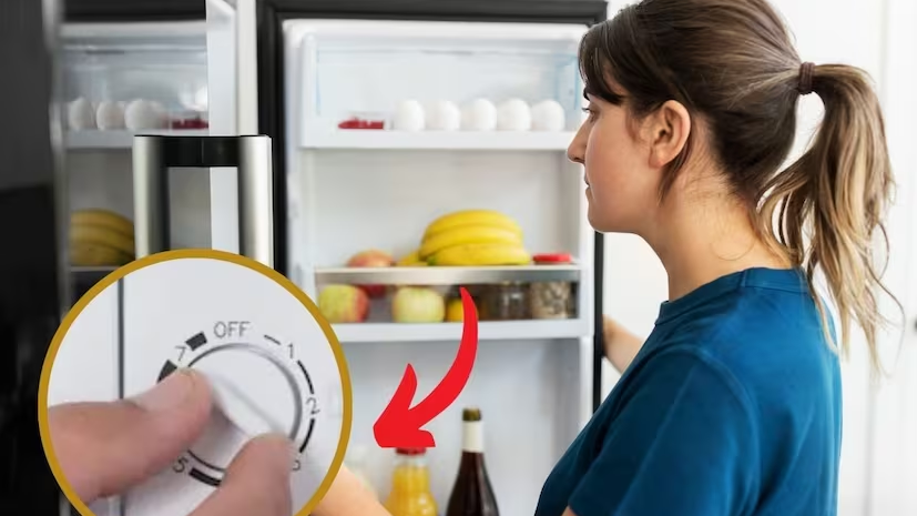 গরমে ফ্রিজের তাপমাত্রা কততে রাখা উচিত? ভুল সেটিংসে নষ্ট হতে পারে খাবার