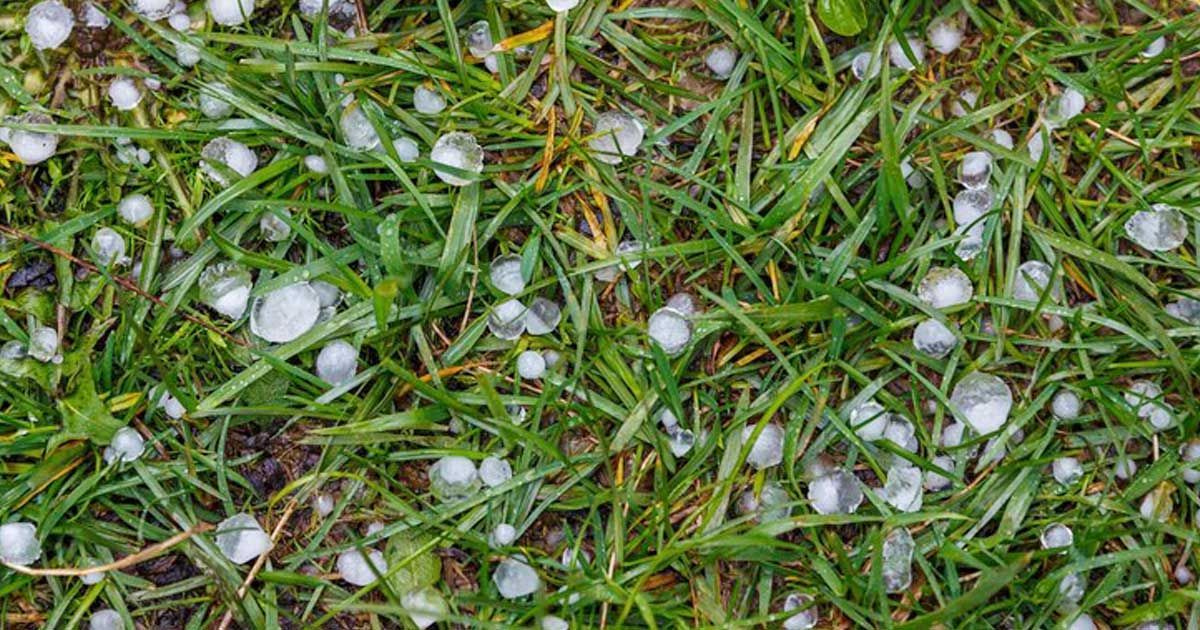 hail-storm hail-storm