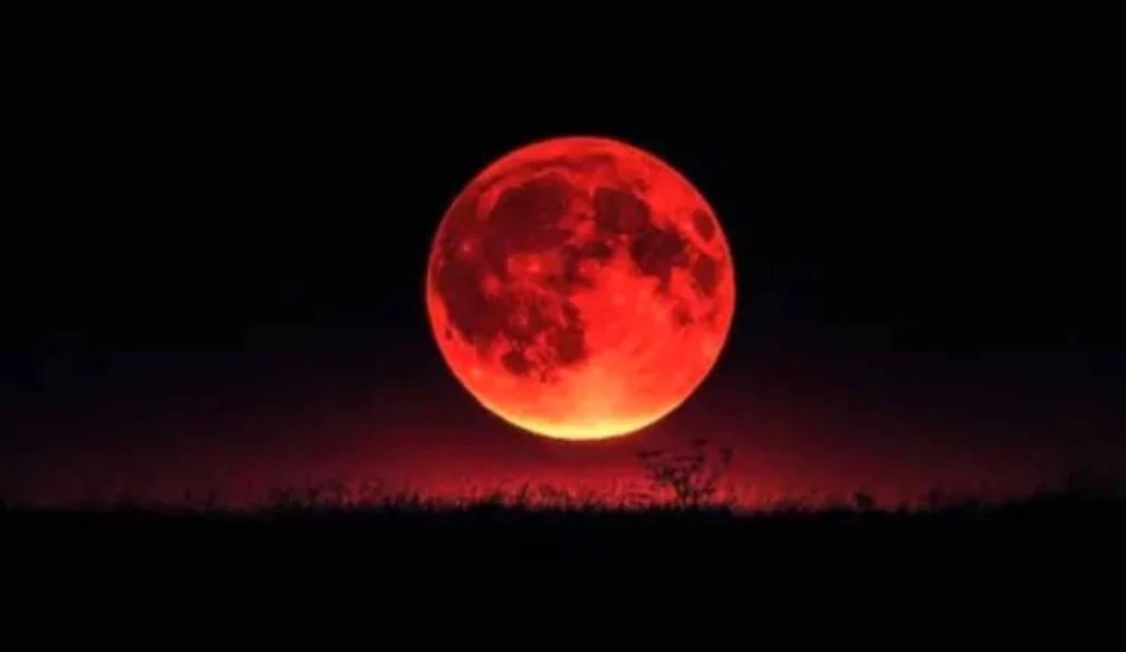 image-231791-1757176894 image-231791-1757176894