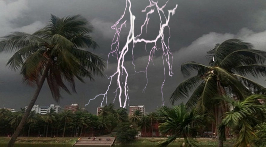 image-303949-1772696257 image-303949-1772696257