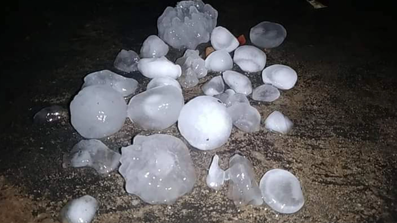 image_77500_1711913132 image_77500_1711913132