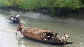 সুন্দরবনে জেলে অপহরণের অভিযোগ, নানা ভাই বাহিনীর আতঙ্ক
