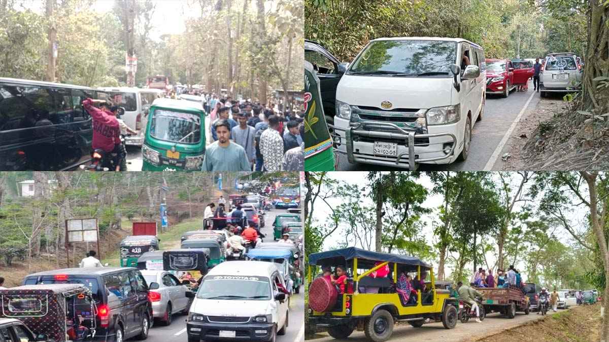 প্রকৃতির টানে লাউয়াছড়া উদ্যানে মানুষের ঢল, সড়কে ধীর গতির বিড়ম্বনা