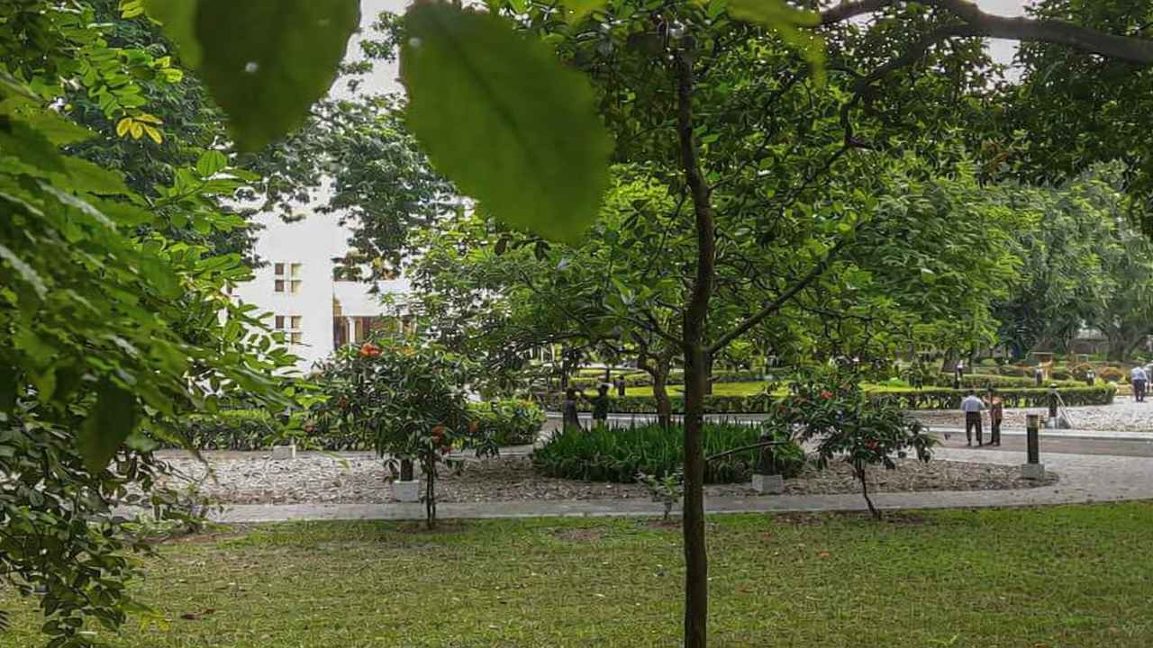 যমুনায় উঠছেন না প্রধানমন্ত্রী তারেক রহমান