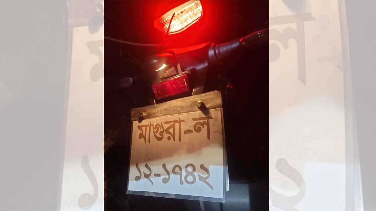 মাগুরায় গাছের ডাল ভেঙে মোটরসাইকেল আরোহী নিহত