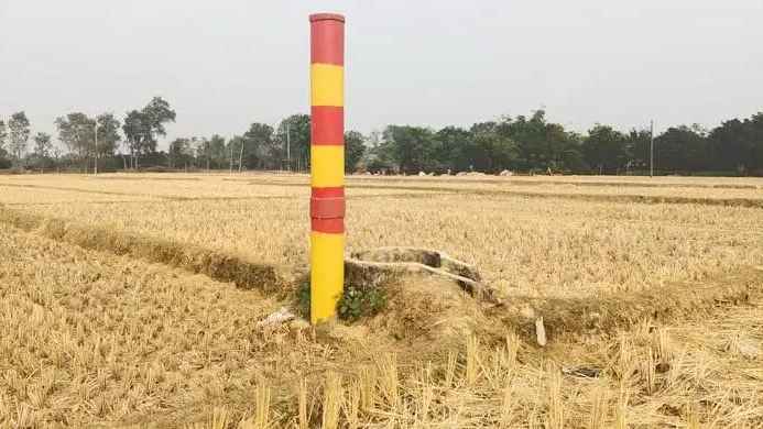 মানিকগঞ্জে নামছে পানির স্তর: বিপাকে কৃষক, হুমকির মুখে কৃষি