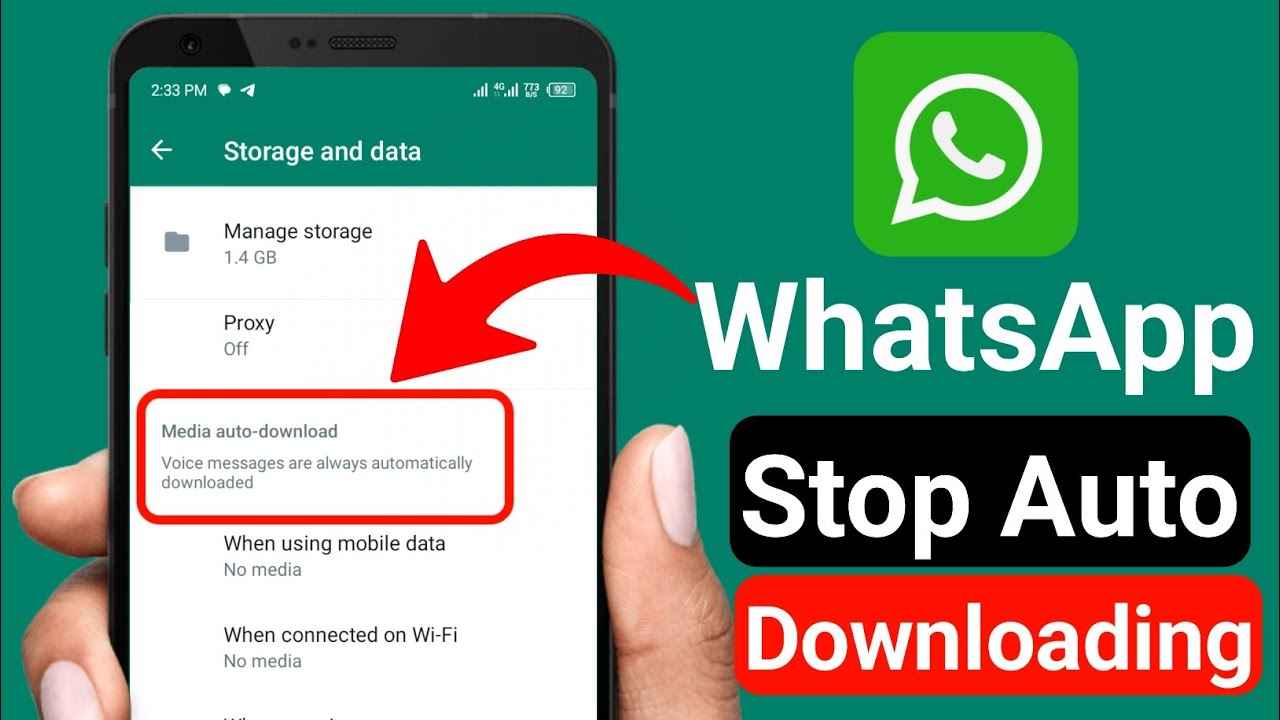 হোয়াটসঅ্যাপের ছবি-ভিডিওতে মেমোরি ফুল? স্টোরেজ খালি করার সহজ কৌশল