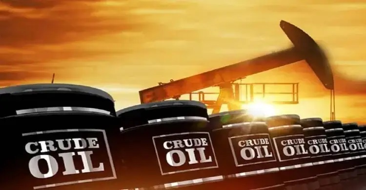 oil