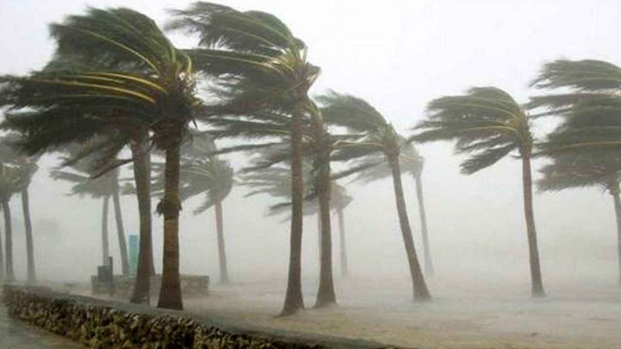 ১০ জেলায় ৮০ কিলোমিটার বেগে ঝড়ের শঙ্কা 