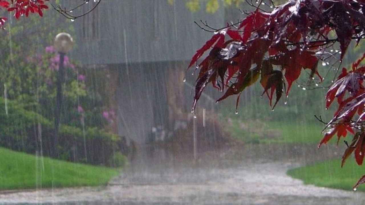 আগামী পাঁচ দিন দেশজুড়ে বজ্রসহ বৃষ্টির আভাস