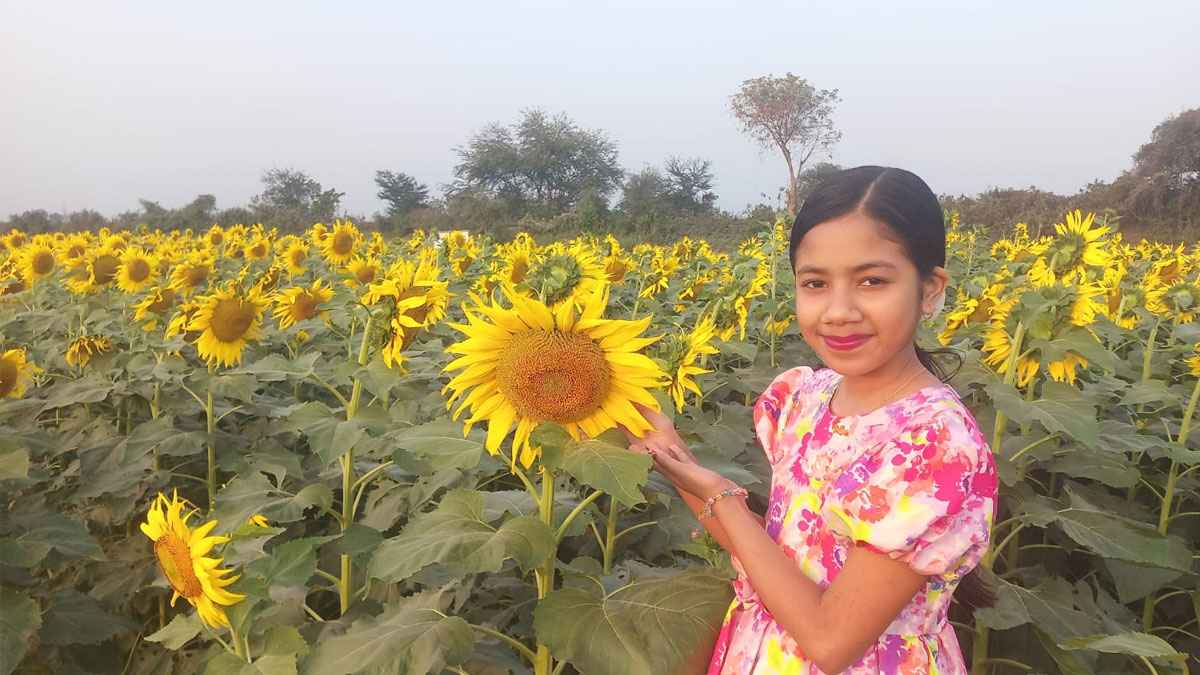 'ফেসবুকে অনেকেই সূর্যমুখী বাগানের ছবি দিচ্ছে,সেই লোভেই বাবার সাথে আসা'