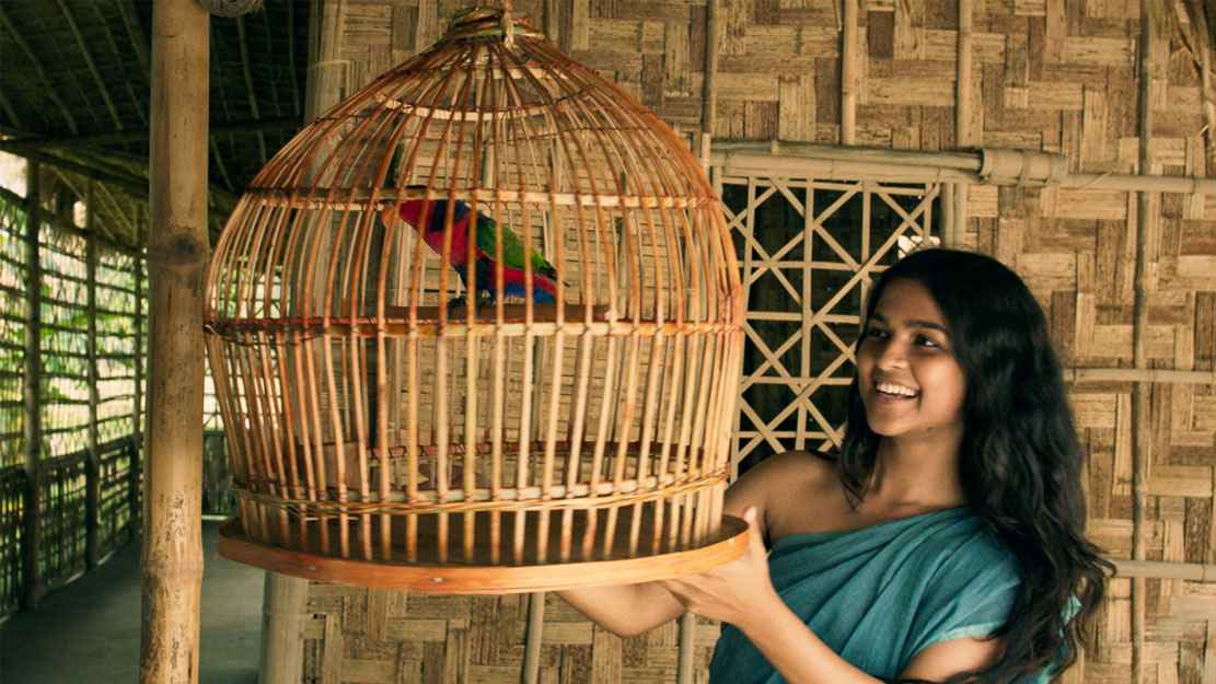 ৭ সিনেমায় মাছরাঙার ঈদ, সঙ্গে ২৮ নাটক ২ ধারাবাহিক