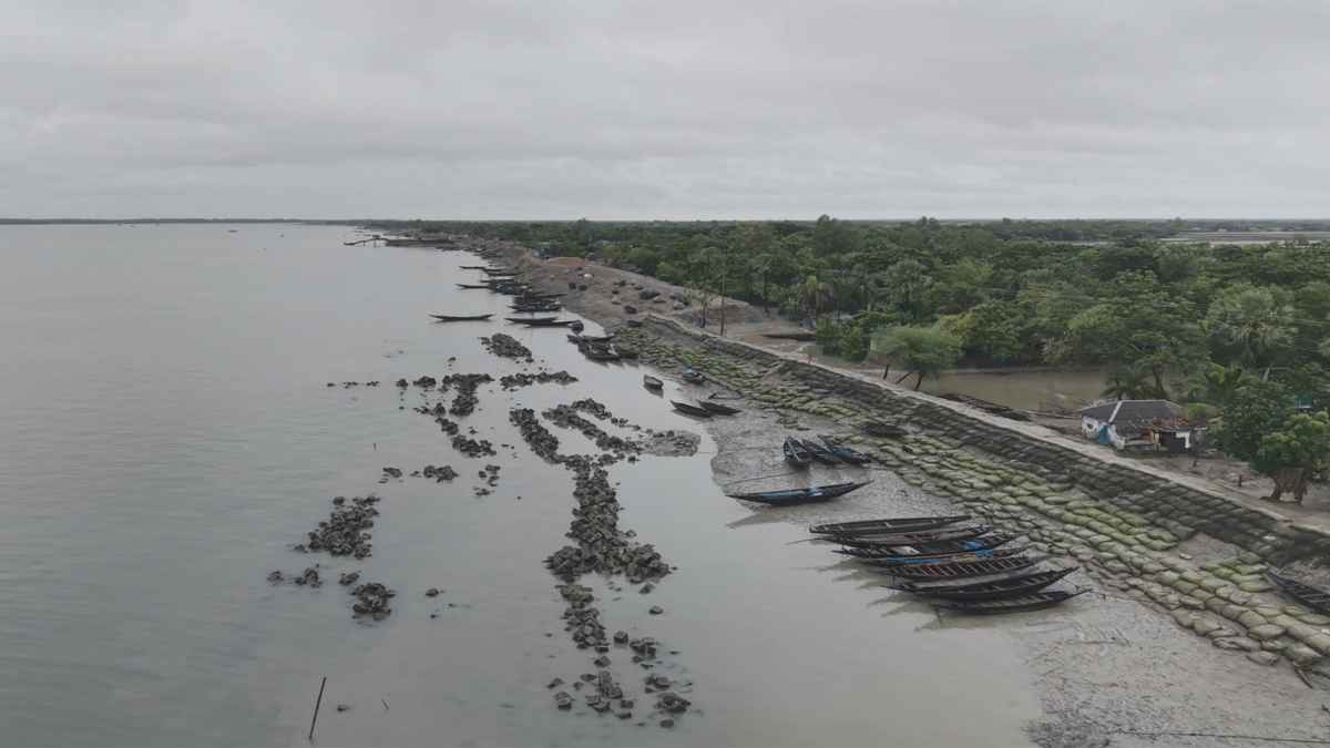 ২ মাস পর সুন্দরবনে কাঁকড়া আহরণ শুরু, উপকূলে ফিরেছে কর্মচাঞ্চল্য
